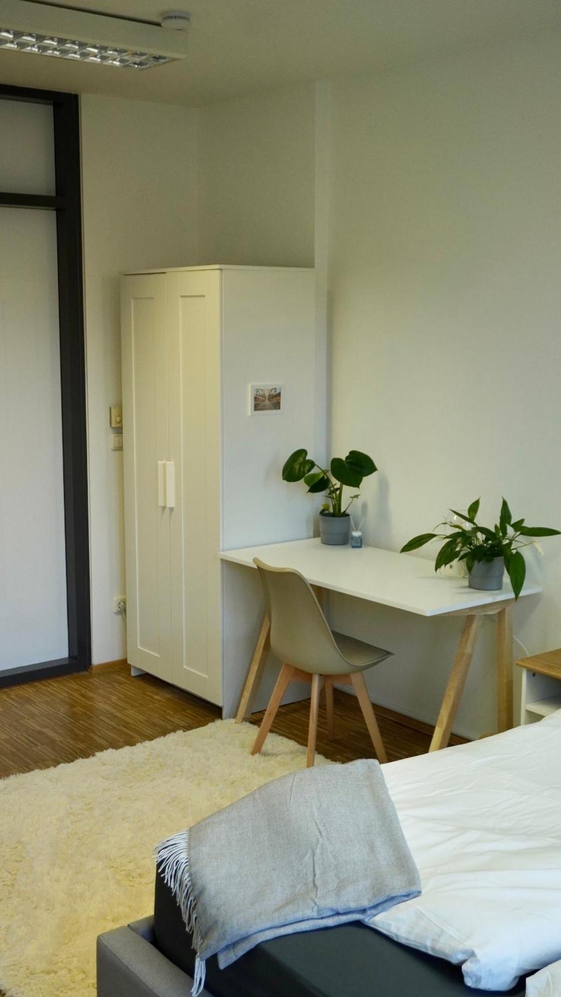 Apartment Grindelallee 汉堡 外观 照片
